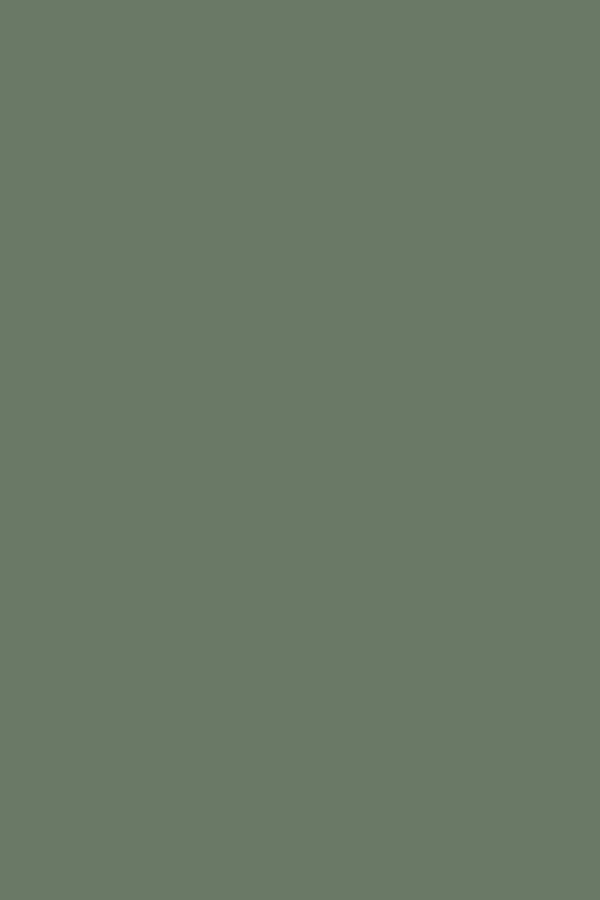 Built-in living room cabinets Malaysia EverGreen